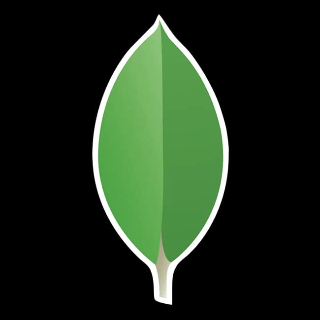 MongoDB technology